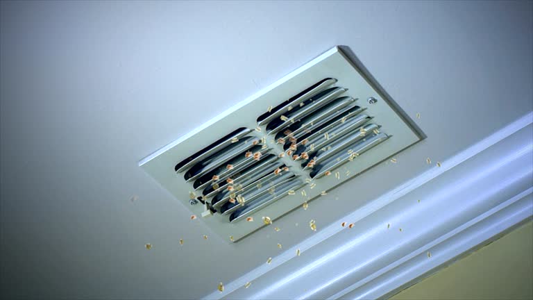 Best Residential Air Duct Cleaning  in Waukegan, IL