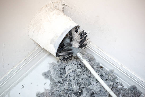 Best Professional Duct Cleaning Services  in Waukegan, IL